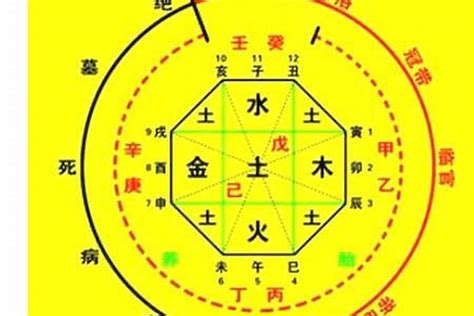 用神 金|八字的喜用神与忌神详解